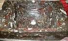 interessanter fossilien marmor